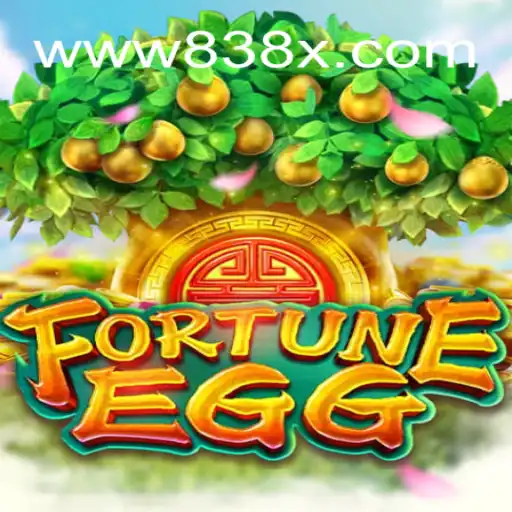 Exploring FortuneEgg: A Dive into the Brazilian Online Gaming Scene